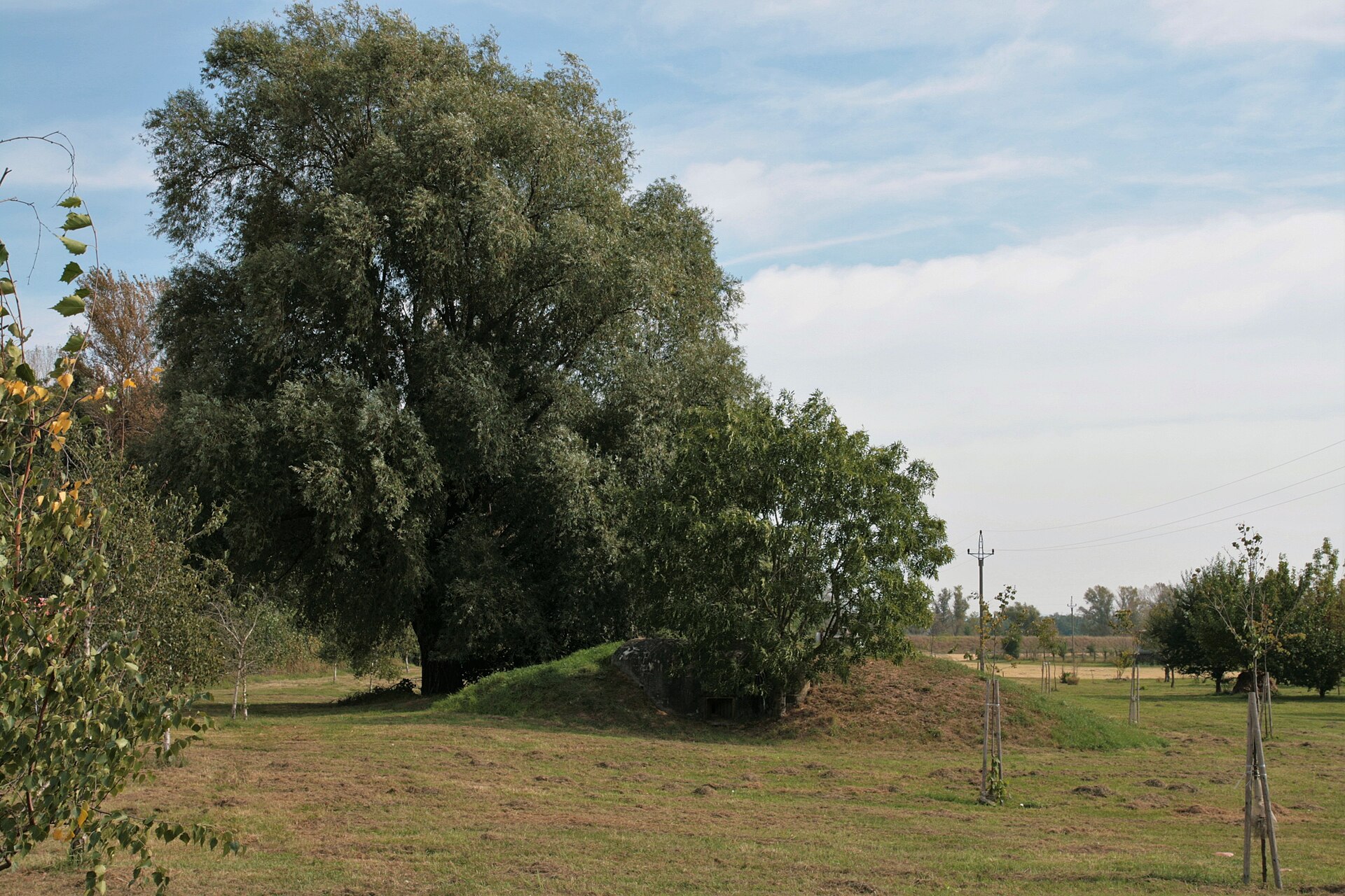 Řopík u Hevlína na Znojemsku — severní silnice