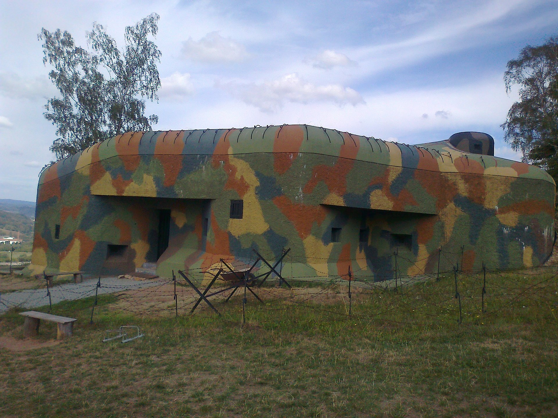 N-S 82 Březinka — muzeum náchodské linie